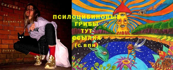 МДПВ Богородицк