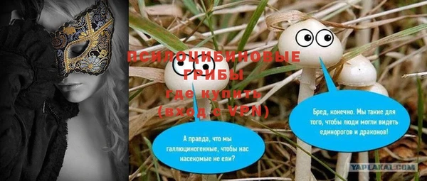 гашик Богородск