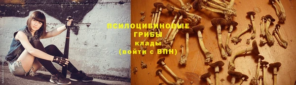МДПВ Богородицк